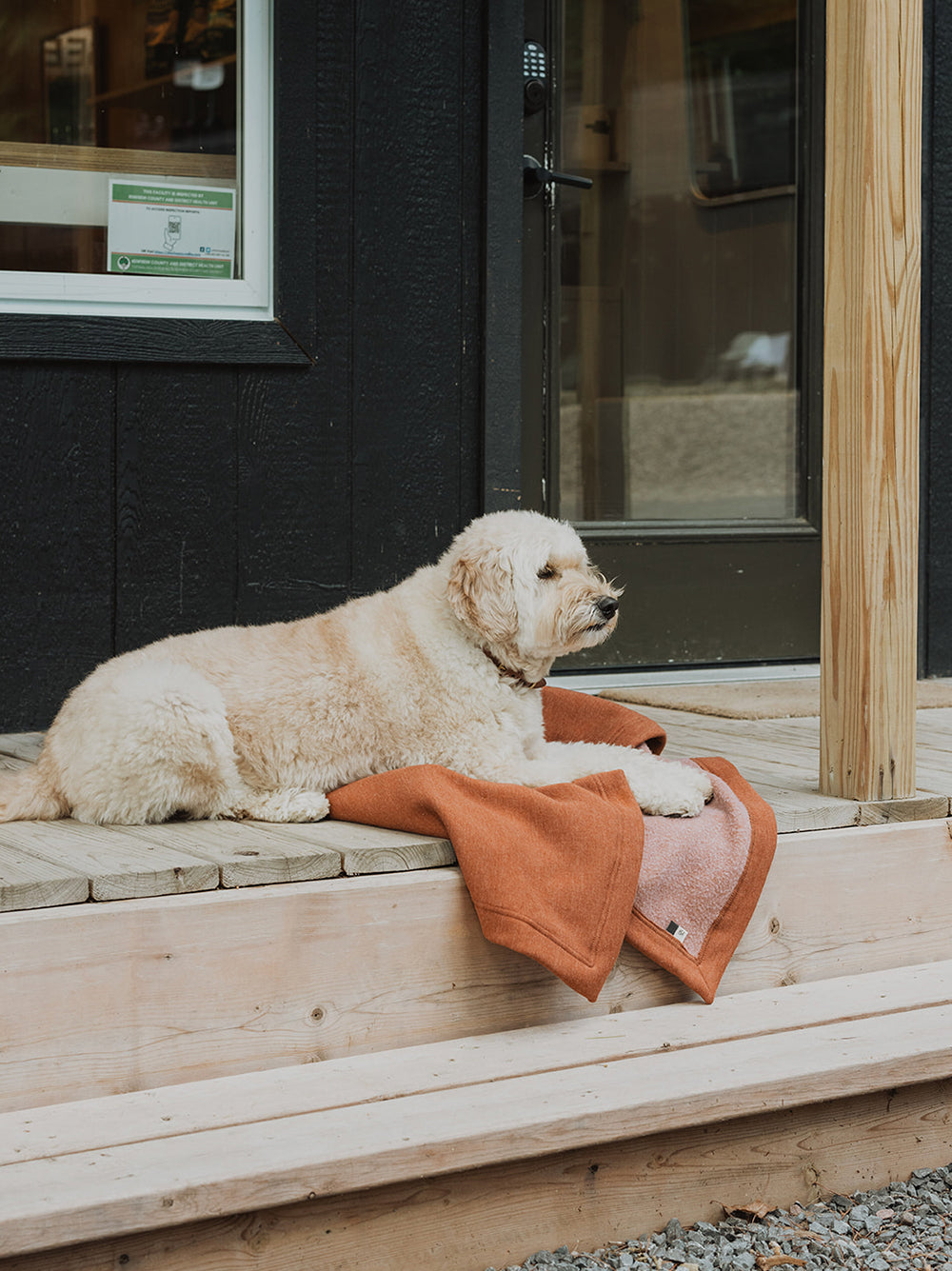 Golden retriever blanket sale