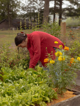 A woman in a Blondie Dusk Sweater top in a Poppy red waffle knit fabric gardening in a raised garden bed filled with green lettuce and yellow-orange marigolds, with trees in the background.